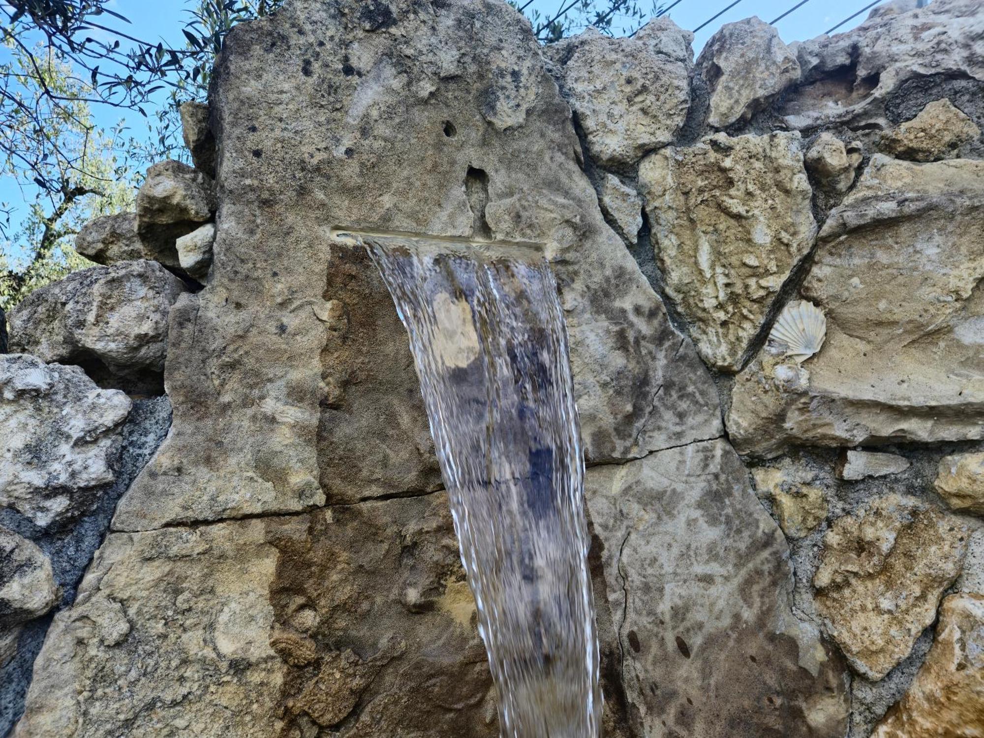Agriturismo Ai Massi Casale Marittimo Dış mekan fotoğraf